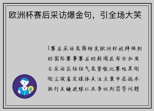 欧洲杯赛后采访爆金句，引全场大笑